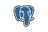 PostgreSQL icon